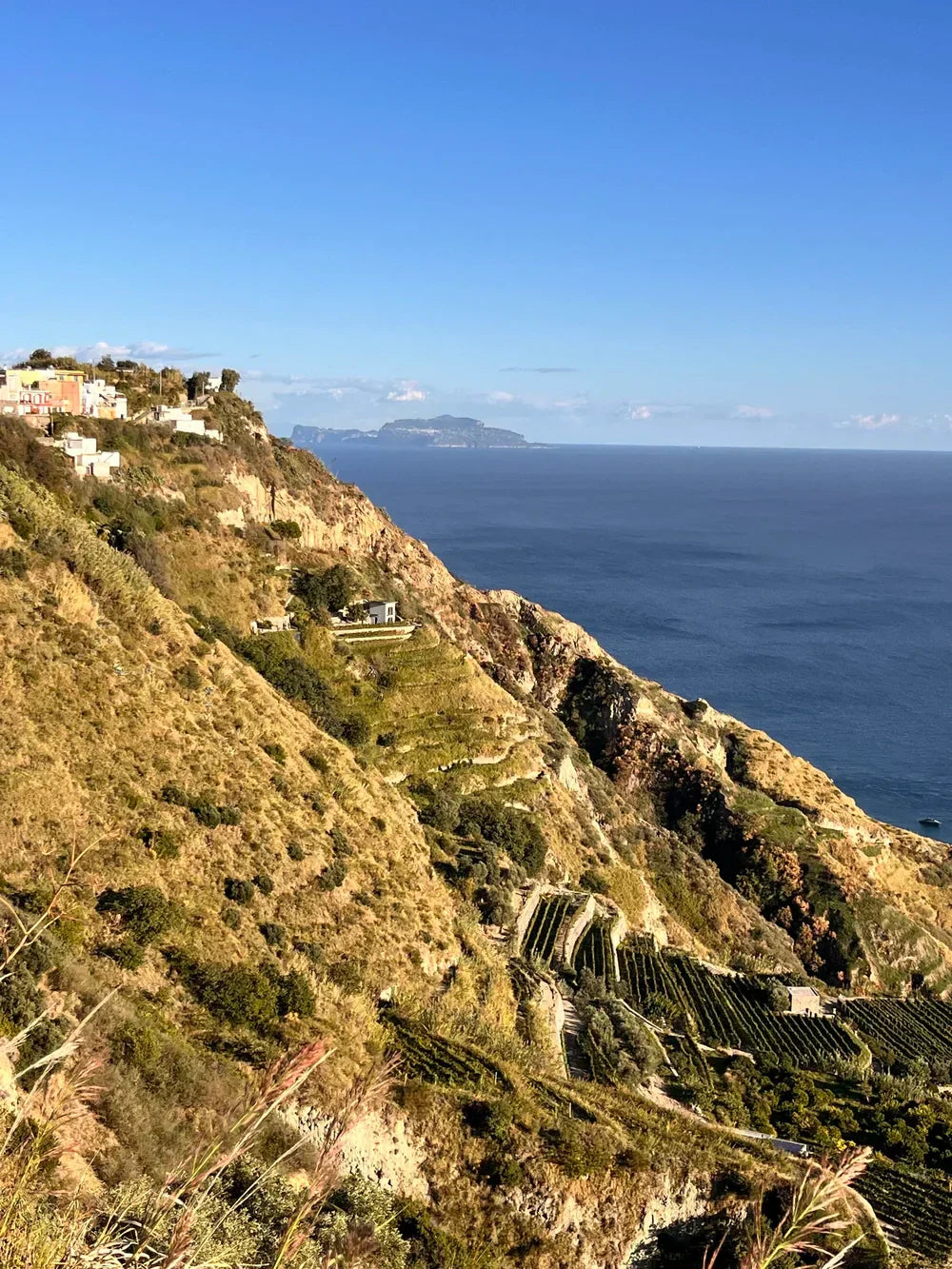 Wine Class: 3/10 Ischia