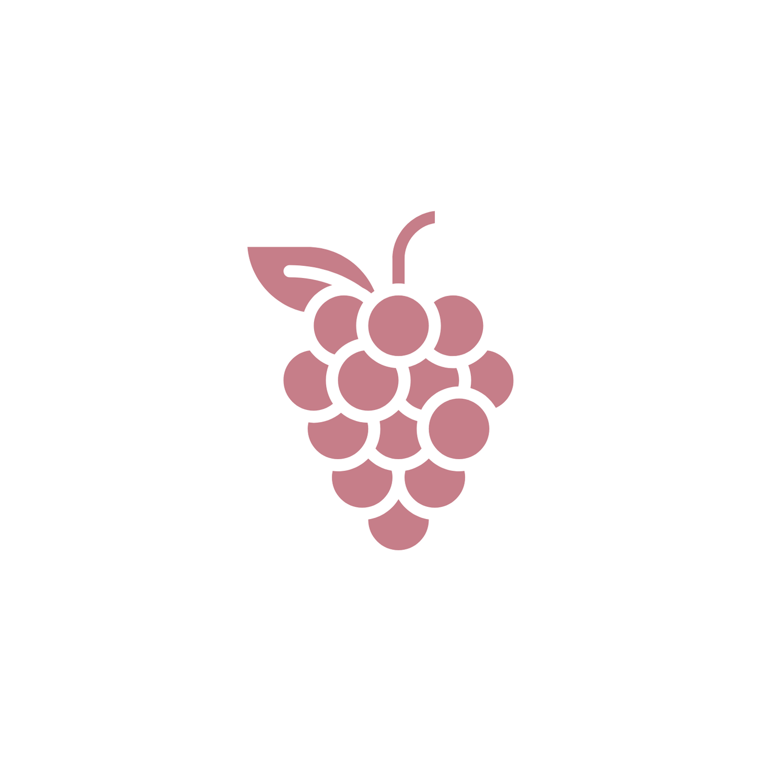 Nebbiolo